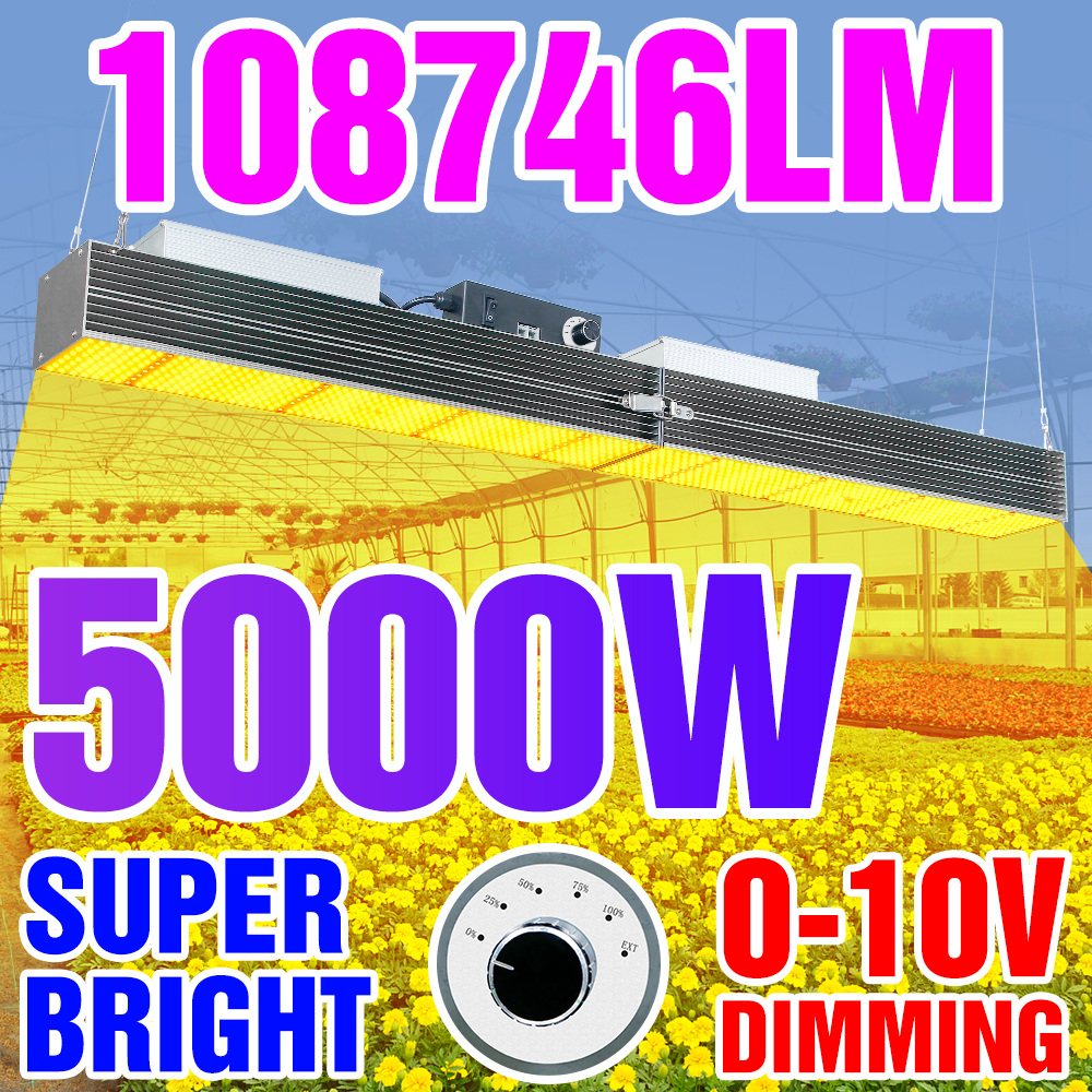 Ĺ   5000W LED      220V Phyt..
